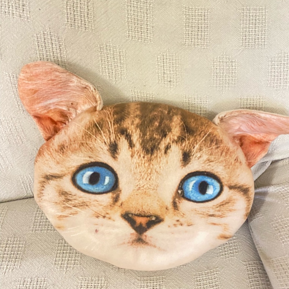 Blue and Brown Accent Pillow with Striking Blue Eyes